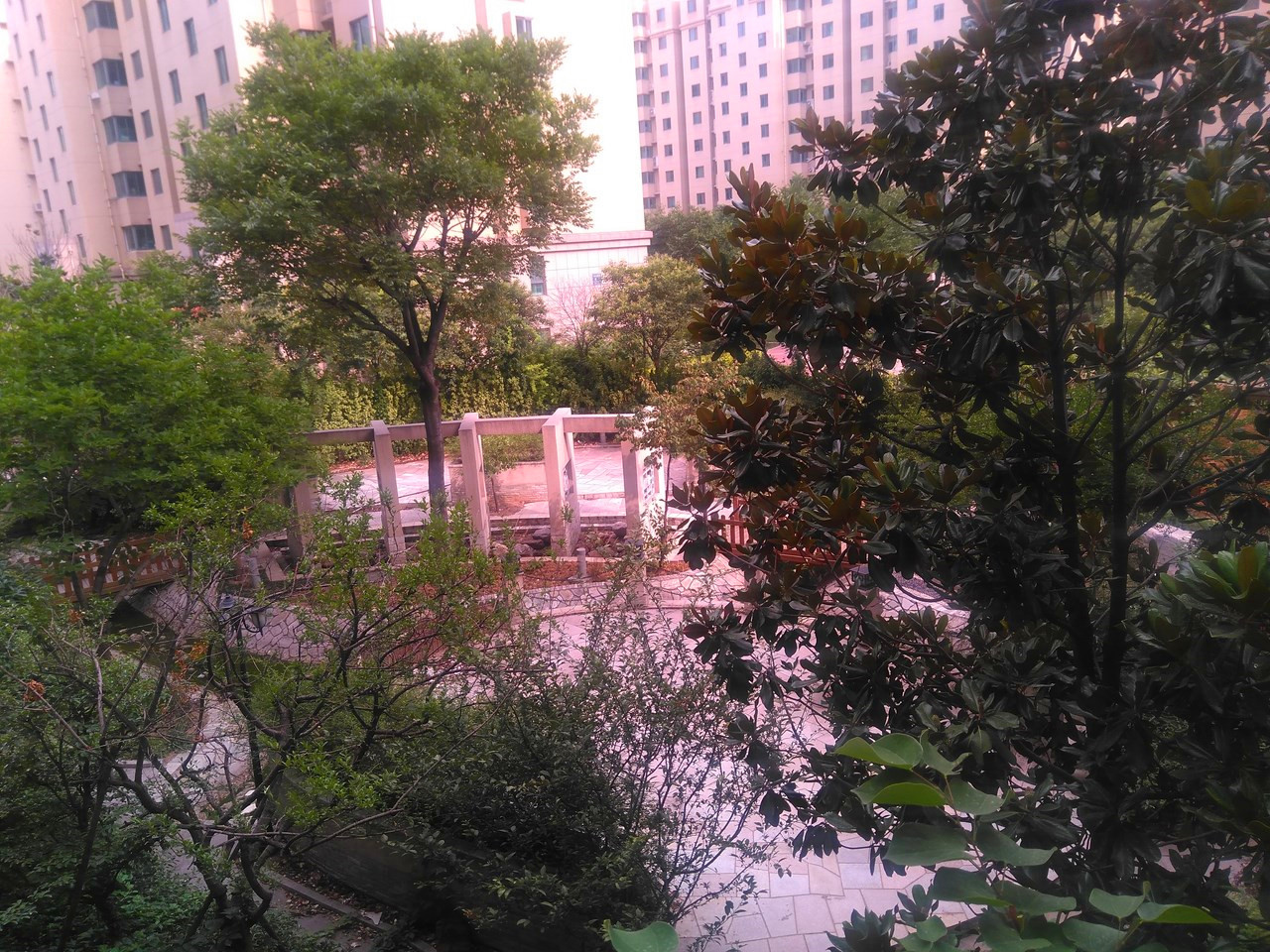 辣椒美食测评,红辣椒美食推荐