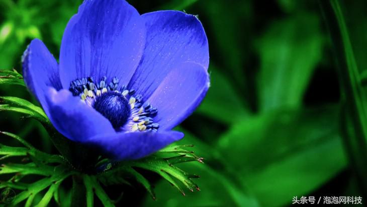 1099的小米到底值不值,3299买的小米可靠吗