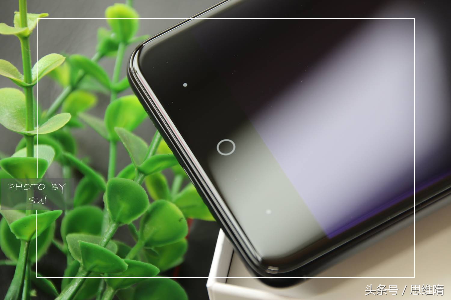 中兴小鲜5配置大曝光,中兴小鲜5测评