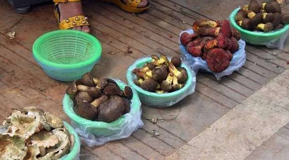 买菌菇被骗,买菌子东西被骗了怎样能追回钱