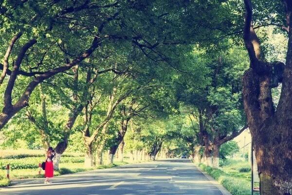 遇见是一种缘分友谊长存,遇见是一种缘分相思是一种情深