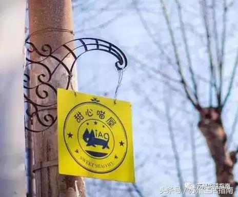 撸猫撸狗好去处苏州,苏州可以撸猫的园