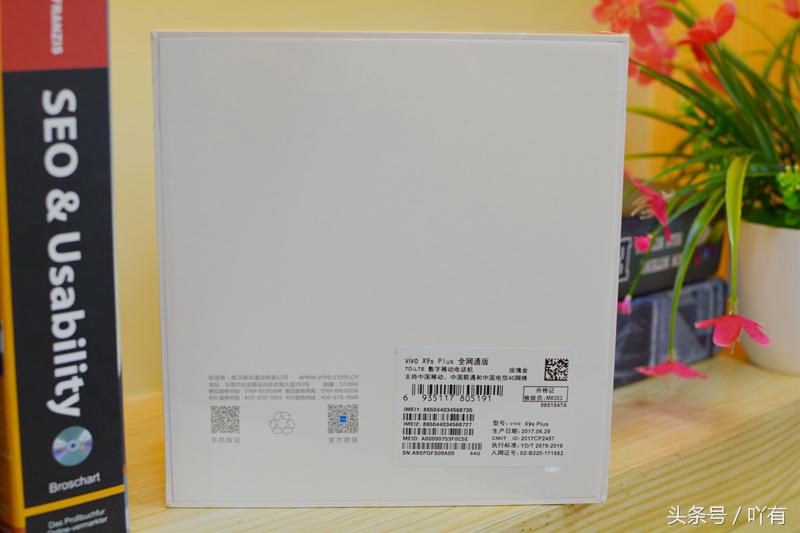 vivox9s和vivox9splus哪个好,vivox9s和plus有什么区别