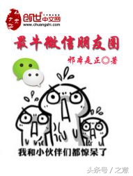 有关微信的好看小说,求关于微信类小说