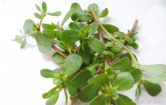 被蚊虫叮咬之后最有效的止痒方法,被蚊虫叮咬快速止痒消肿的办法