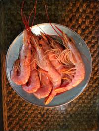 杜蕾斯收购美赞臣为啥叫风险对冲,杜蕾斯收购美赞臣案