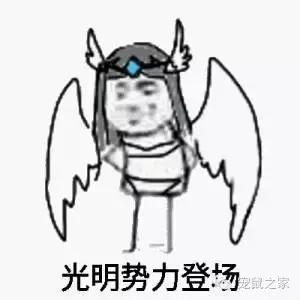 最大的豚鼠视频,世界上最大的豚鼠是什么品种图片