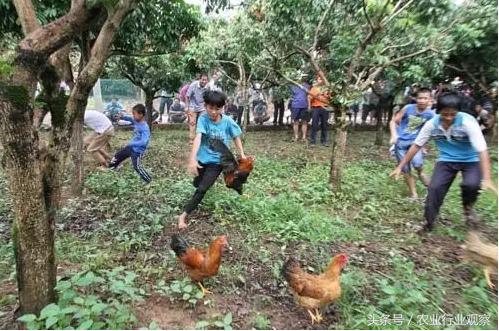 生态循环农业如何控制利润,现代农业六种盈利模式