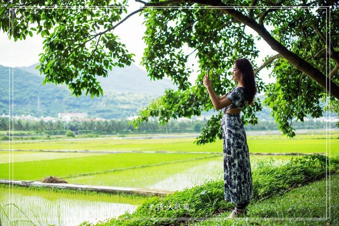 萌妹子的三亚之旅,三亚一月度假攻略