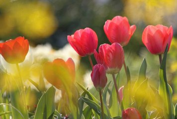 怀孕了多久去产检分别产检什么,从怀孕到生产需要检查多少次产检