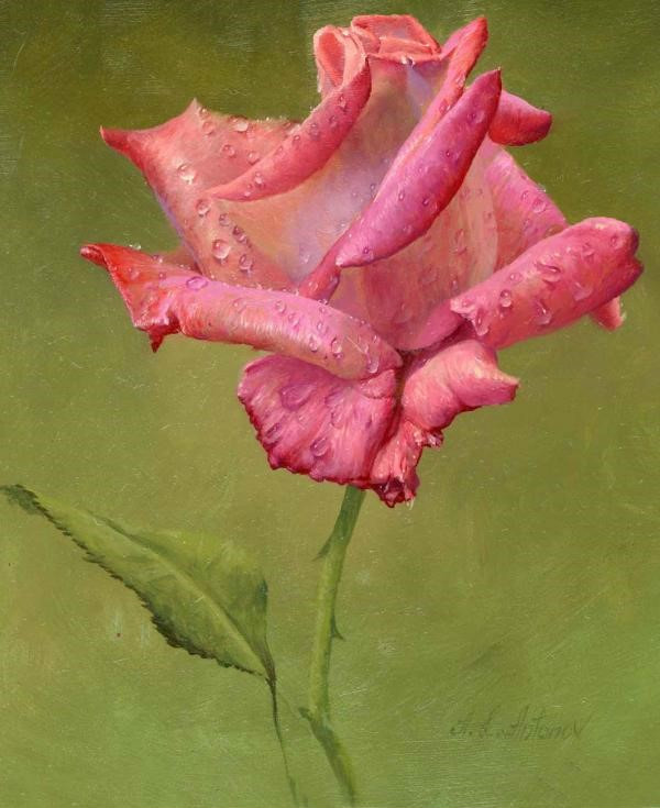 油画玫瑰花怎么画教程大全,油画玫瑰花蛋糕教程