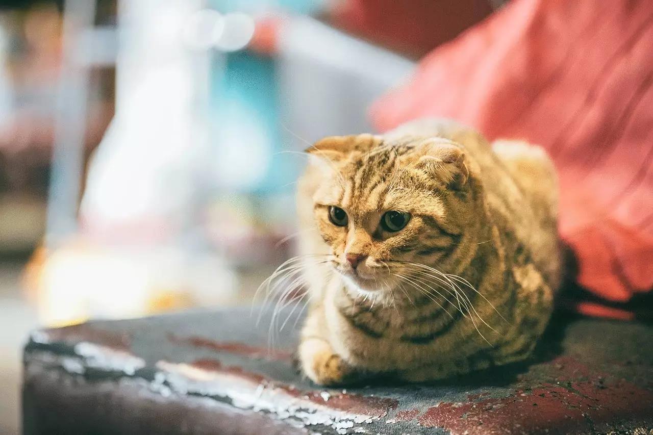 夏一站，我在仙林高校等你