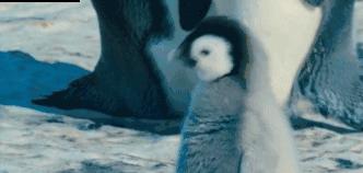 日本代购基本知识,怎么分辨靠谱的日本代购