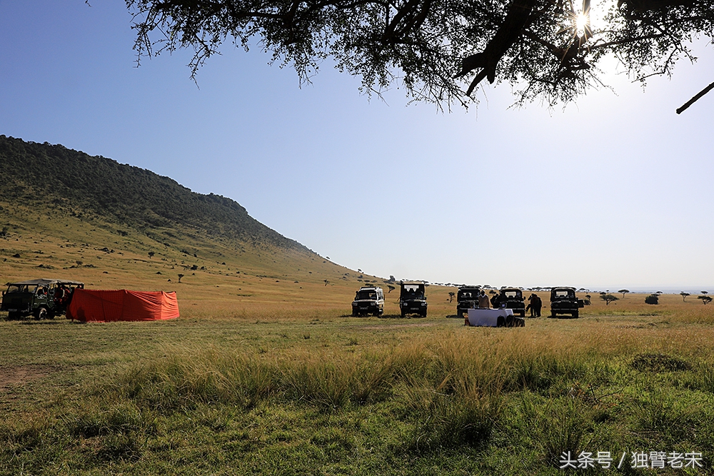 肯尼亚动物大迁徙旅游,肯尼亚迁徙之旅