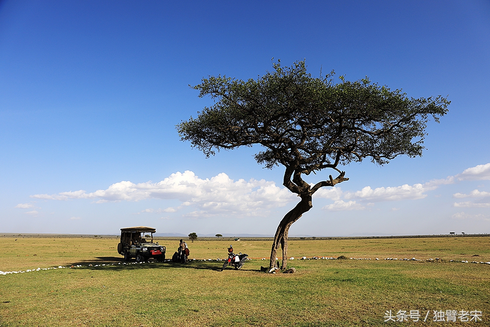 肯尼亚动物大迁徙旅游,肯尼亚迁徙之旅