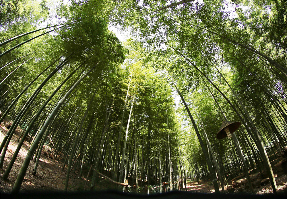 遇见是一种缘分友谊长存,遇见是一种缘分相思是一种情深