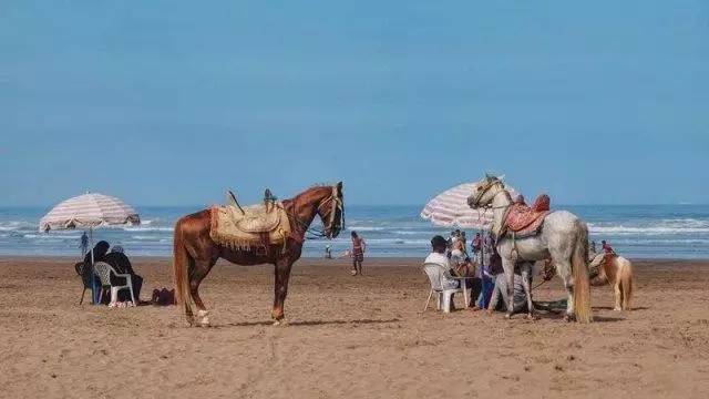 摩洛哥旅游攻略详细图片高清,摩洛哥卡萨布兰卡应该去的地方