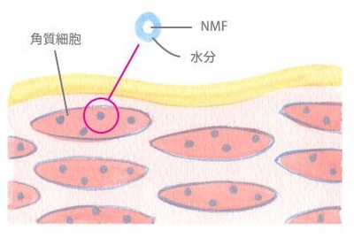 luna洗脸仪真的洗得干净吗,luna洁面仪起了小黑点怎么清洁