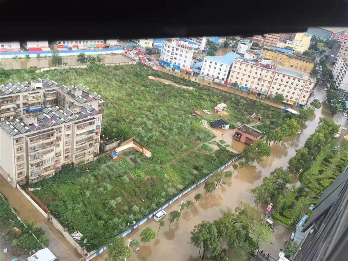 鏆撮洦琚煄韬奖瑙嗛,鏆撮洦琚煄杞﹁締琛屼汉瑙嗛