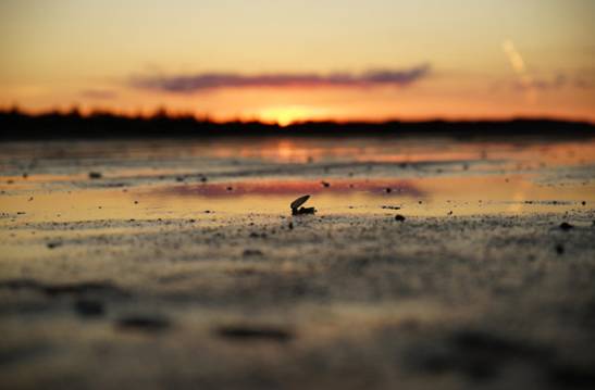 找了一辈子的那片星空那片海,原来就在官湖角!