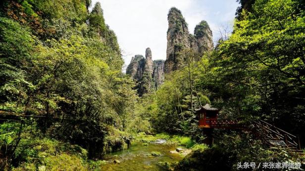 张家界三天两晚攻略,张家界4天3晚自由行