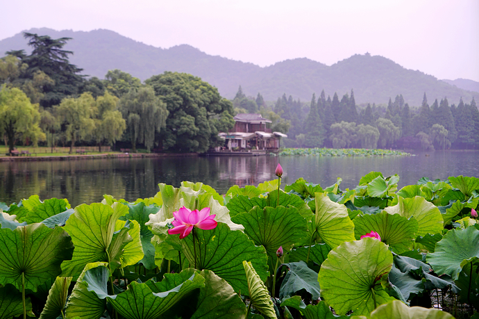 杭州隐藏在山里的民宿,杭州隐藏在山水间高逼格酒店