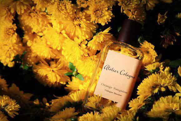 讨女朋友欢心秘境原来是在这买的香水