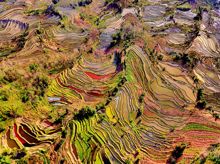 哈尼梯田最佳旅游攻略,风景这边独好独龙江