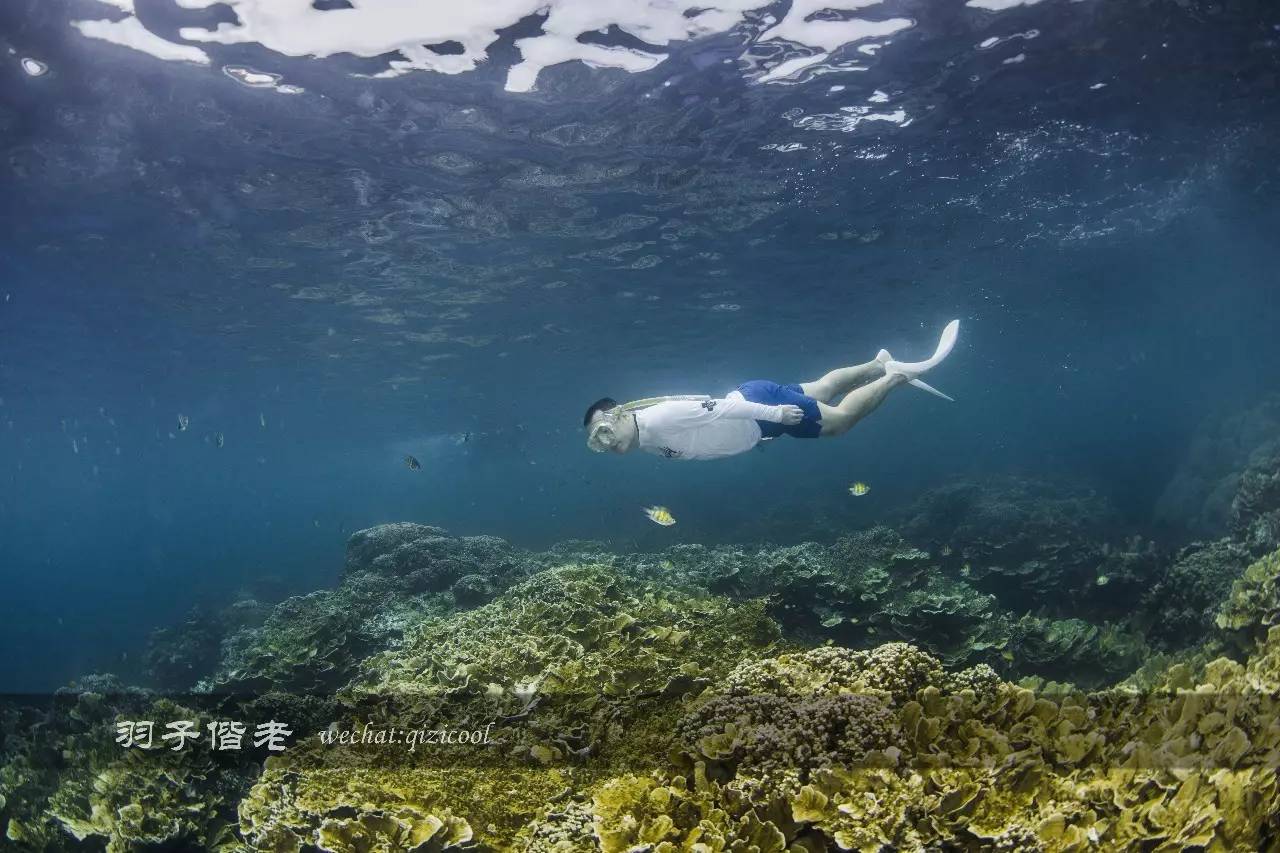 帕劳旅游发展的前景,去帕劳注意事项和必备品