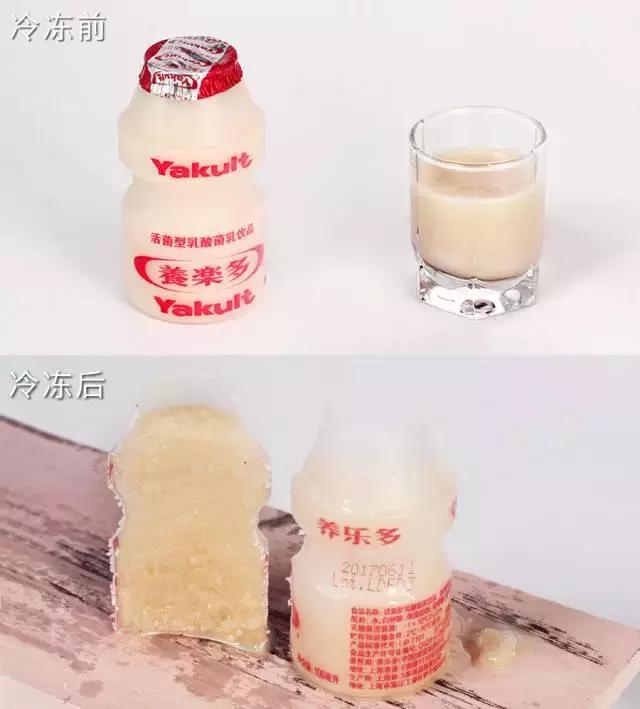 我把整个超市扔进了冷冻室，没想到还挺好吃