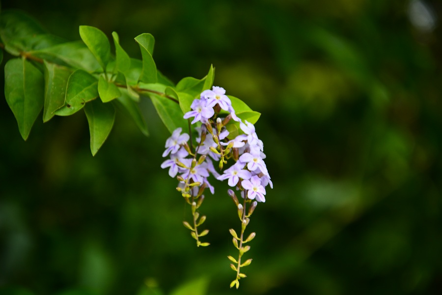 国投钦州发电有限公司的图片,广西钦州国投钦州发电有限公司