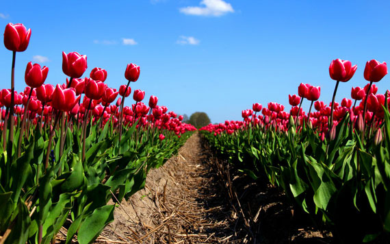 楠溪江自驾游三日游攻略,永嘉楠溪江自驾游攻略