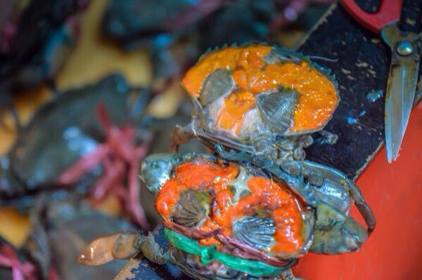 吐血编辑，三亚所有吃的都在这儿了，不吃也来瞧一瞧啦。