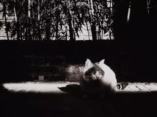 CMPA|2016年3月17日编辑推荐作品