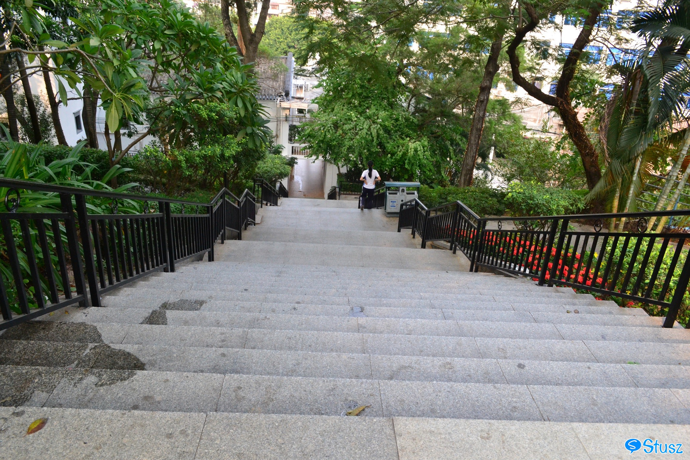 Stusz独家：观澜中学，现代化的百年老校