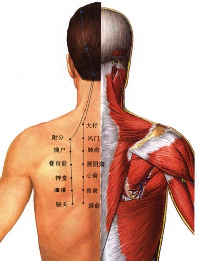 咳嗽老不好，赶快来瞅一瞅