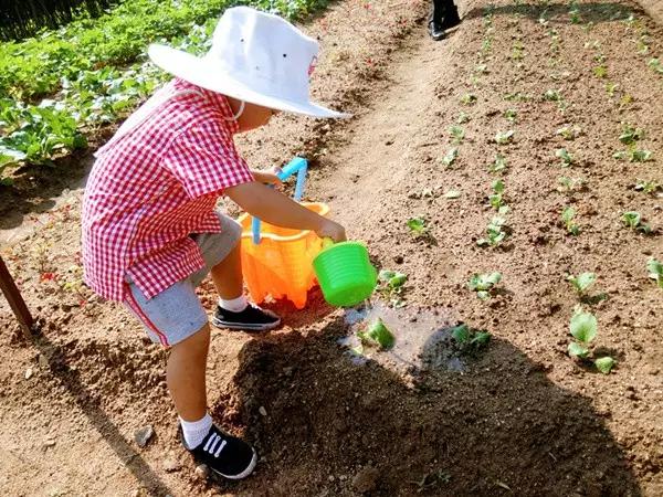 亚龙湾红树林酒店室内玩乐,亚龙湾红树林酒店潜水体验