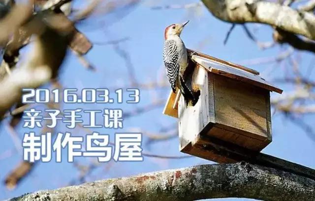 成都11月1日活动,11月9日成都活动