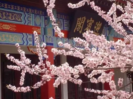 天津5a级旅游景点都有哪些,天津旅游景点推荐网红一日游