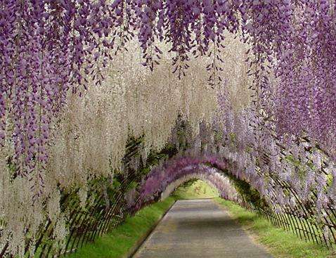 诗意行走,诗意的行走朗诵