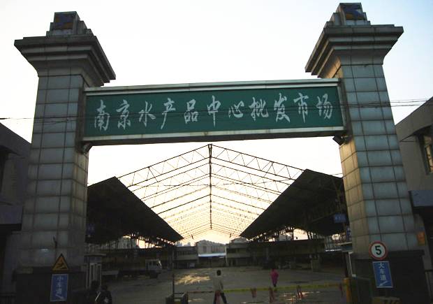 南京生活指南,女生南京一个人旅行攻略