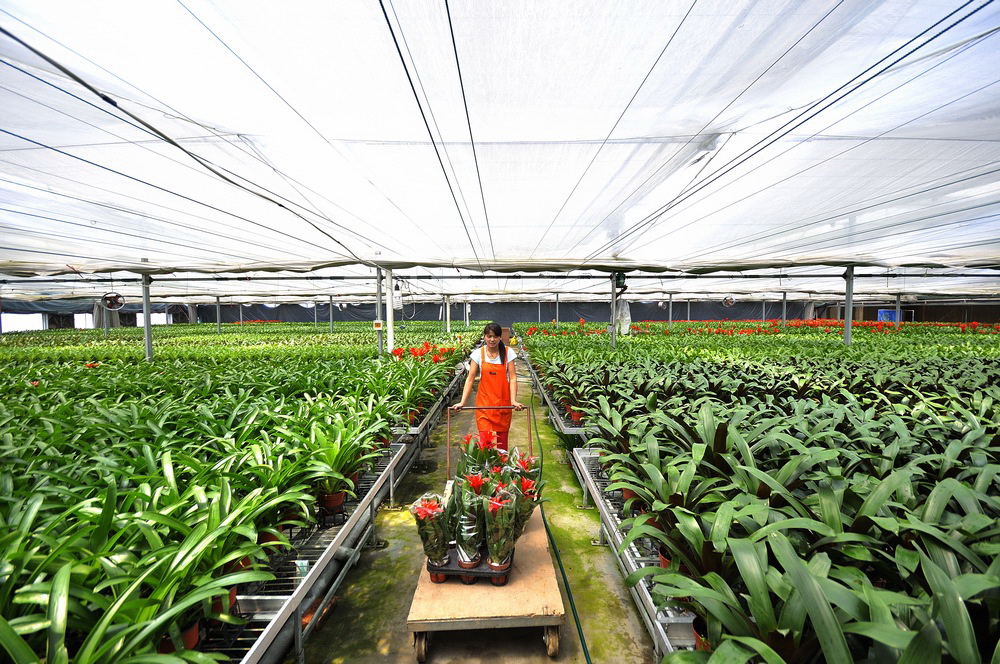 亲山近水享绿色福利，五彩鸢都创森林潍坊