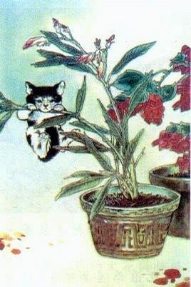 猫咪经济学家,猫咪经济学