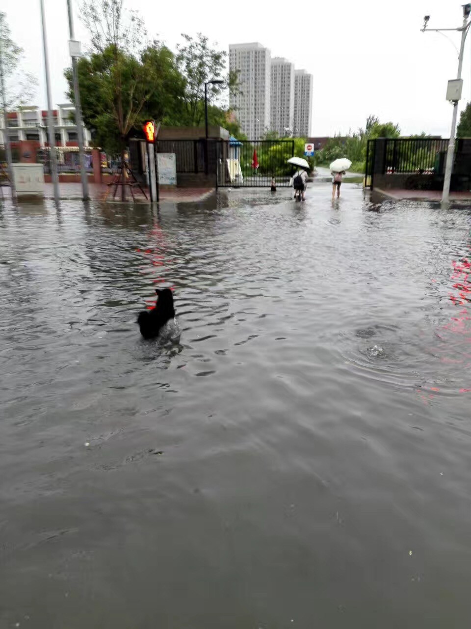 大雨倾城,小海地儿的“海”可一点都不小!