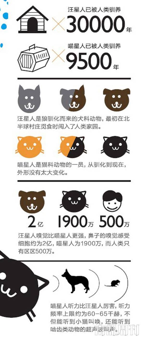 猫咪经济学家,猫咪经济学