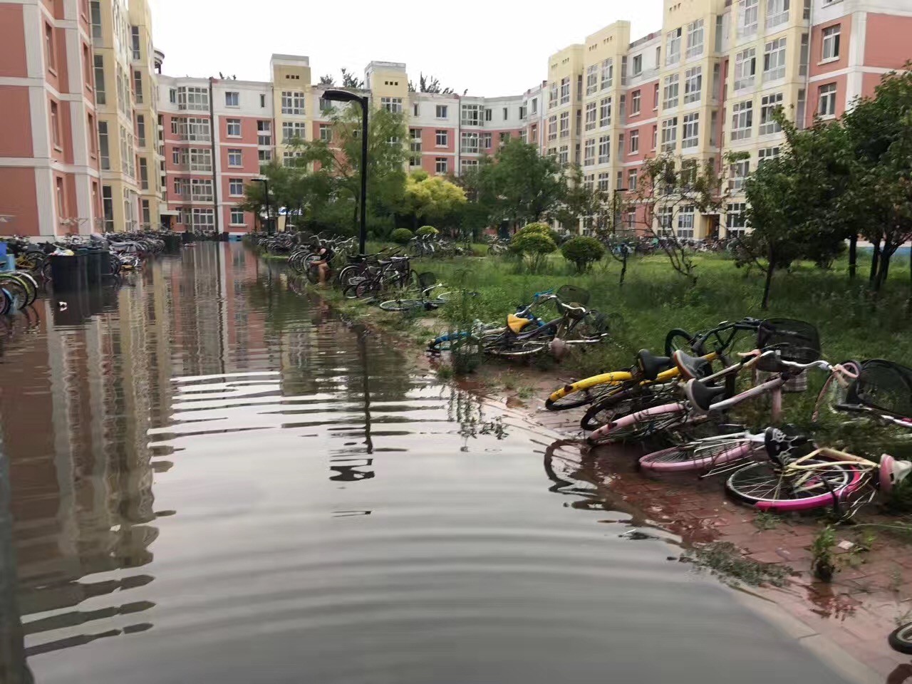 大雨倾城,小海地儿的“海”可一点都不小!