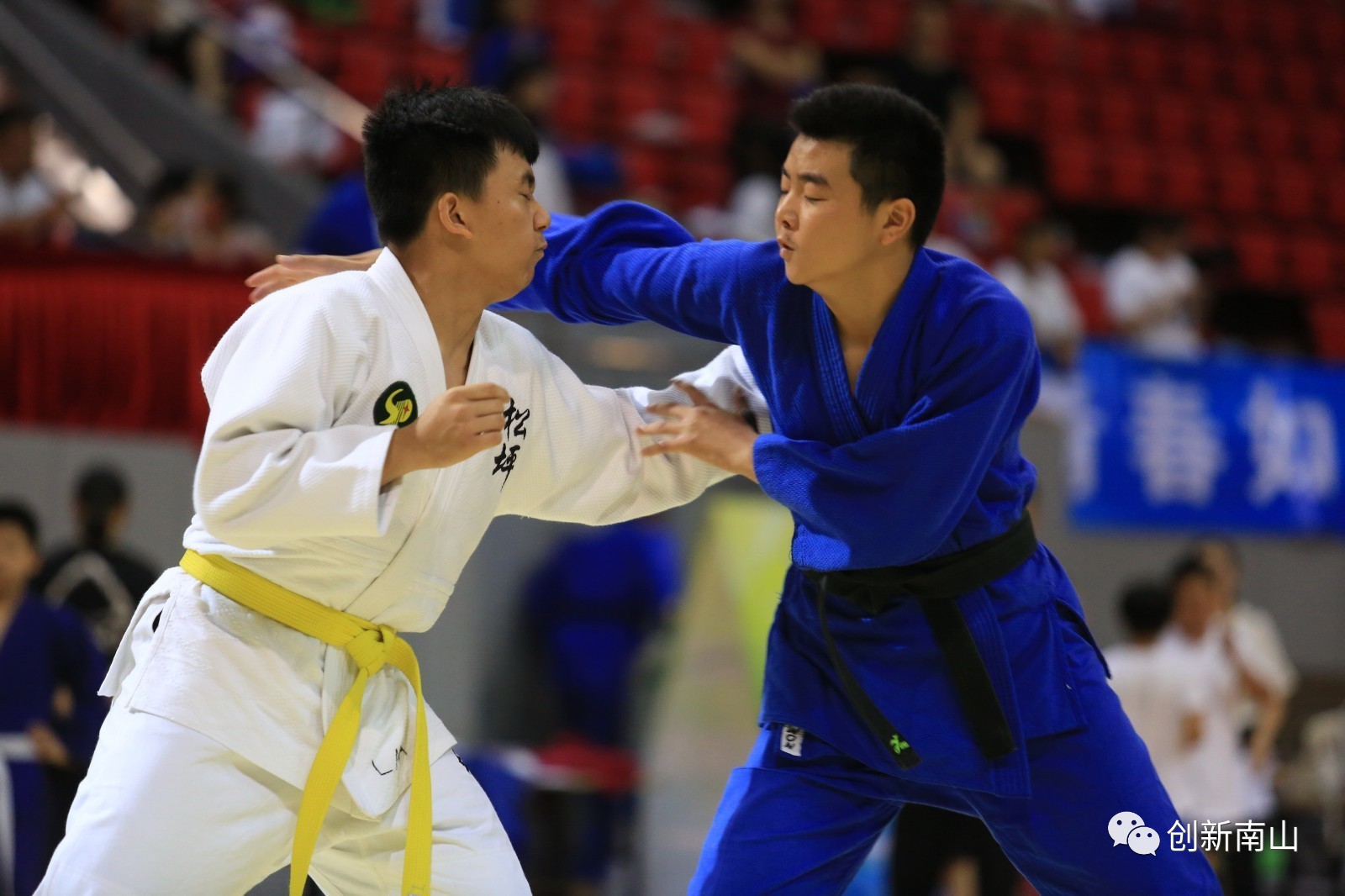 奔跑吧体彩杯,奔跑吧少年体彩杯