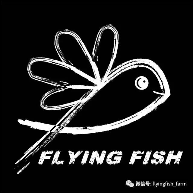 什么叫口孵,口字偏旁的秘密