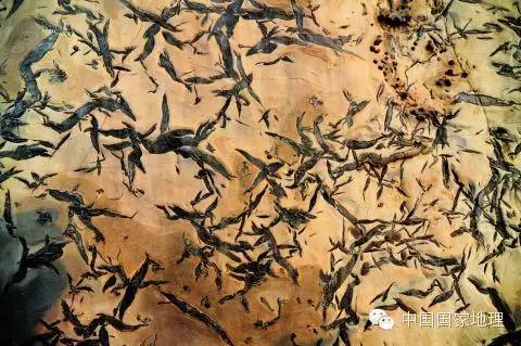 津北有奇观，10亿年地层上的“万卷史书”