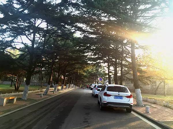 城事|青岛人都不知道，原来八大关还有这么大的秘密